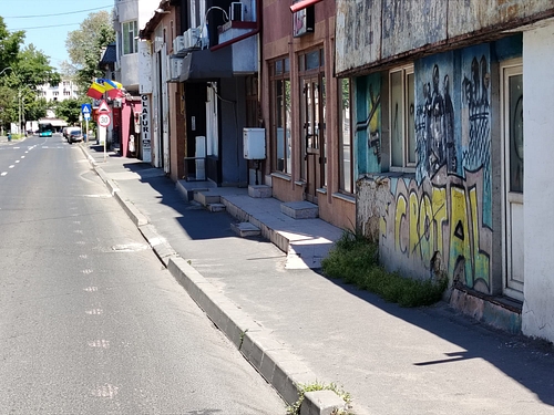 Poza 3