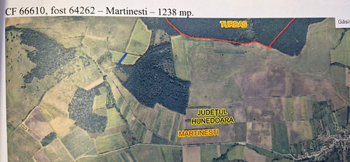 Teren agricol -SITUAT IN MARTINESTI, JUD HUNEDOARA, SUPRAFATA 1238 MP