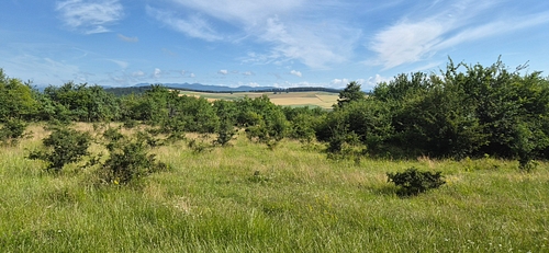 Teren agricol -situat în loc. Mărtineşti, jud. Hunedoara, 2969 mp