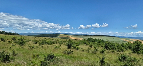 Teren agricol -situat în loc. Mărtineşti, jud. Hunedoara, 345 mp