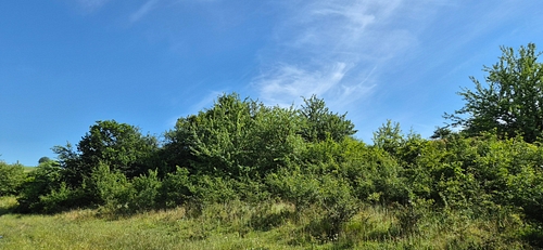 Teren agricol - situat în loc. Mărtimeşti, jud. Hunedoara, 1728 mp