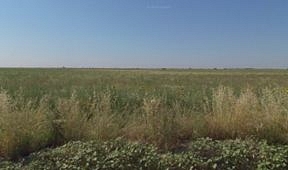 
Teren agricol - in suprafata de 11.648 mp