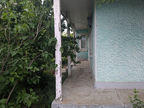 POZA 7