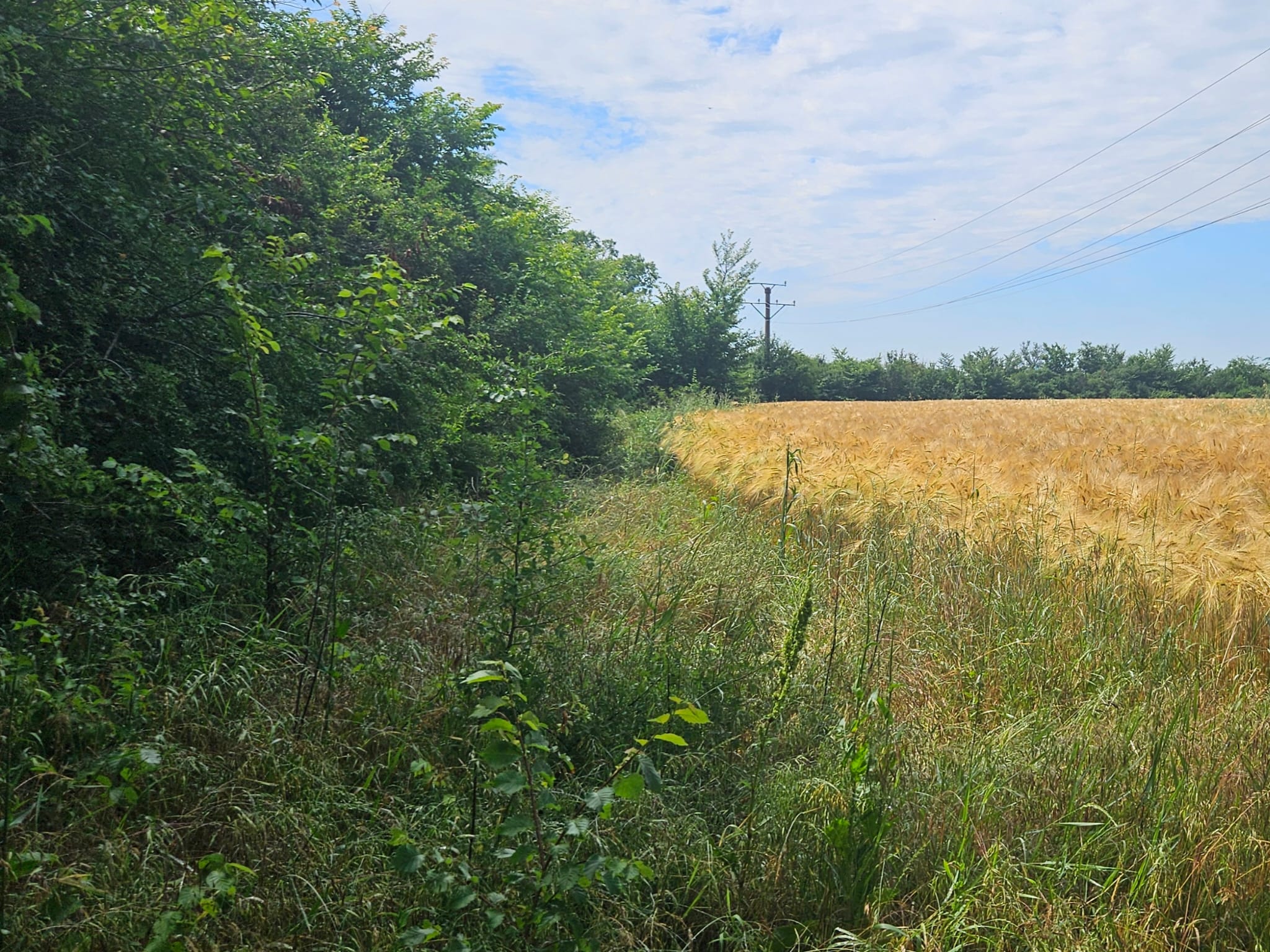 Teren agricol - EXTRAVILAN in suprafata de 1409 MP