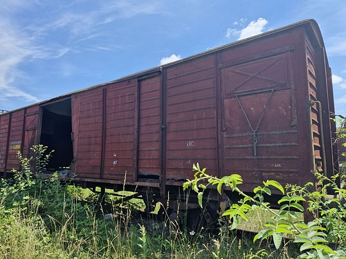 07