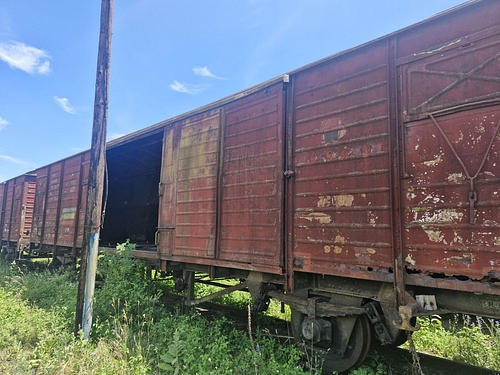 06