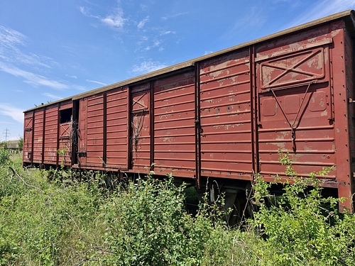 06