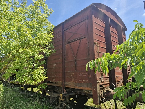 07