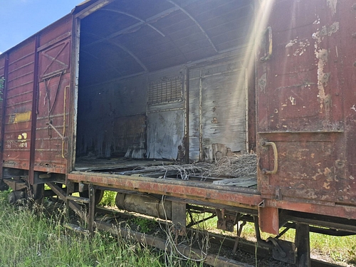 06