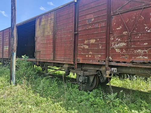 07