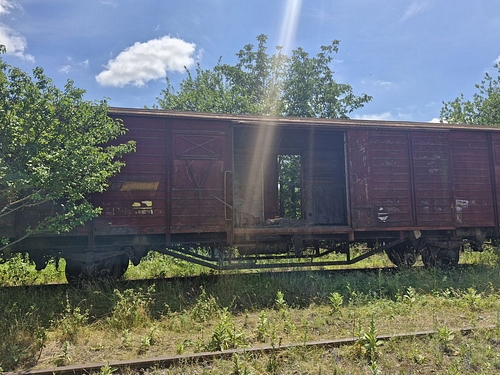 03