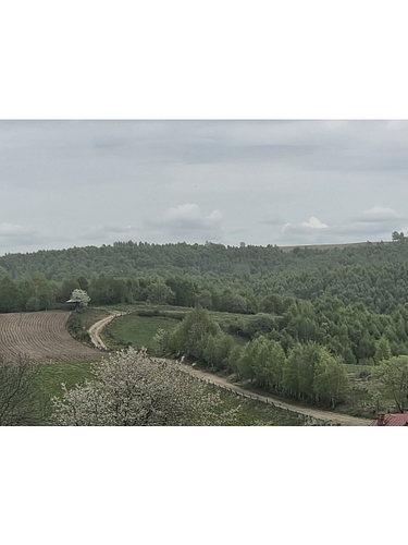 Teren agricol - TEREN EXTRAVILAN in suprafata de 4535 MP