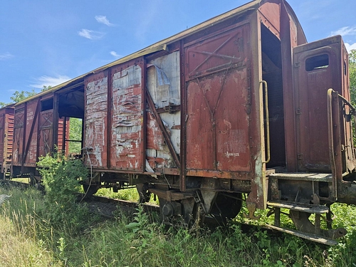 06