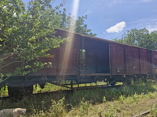 02