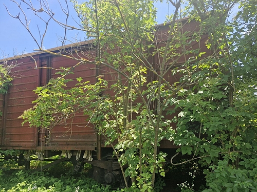 05