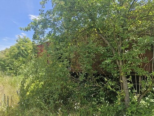 06