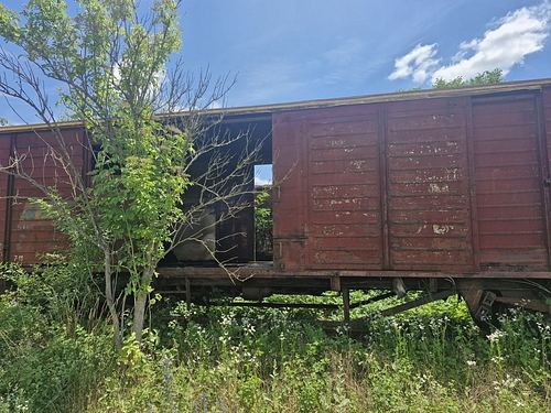 06