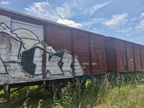 06