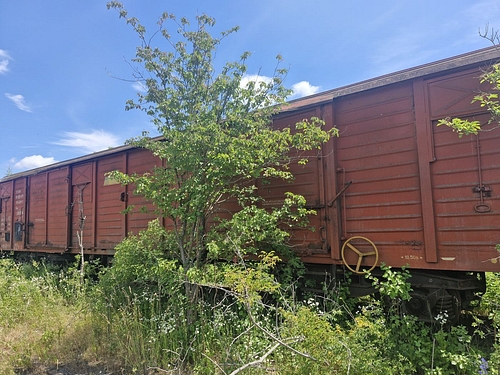 07