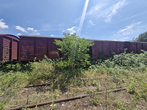 04