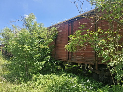 08
