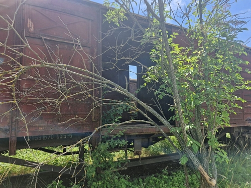 04