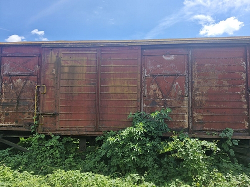05