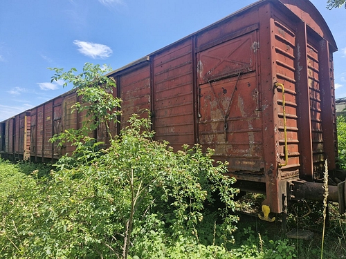 08