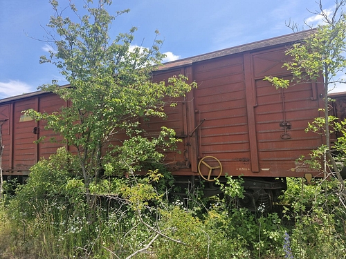 06