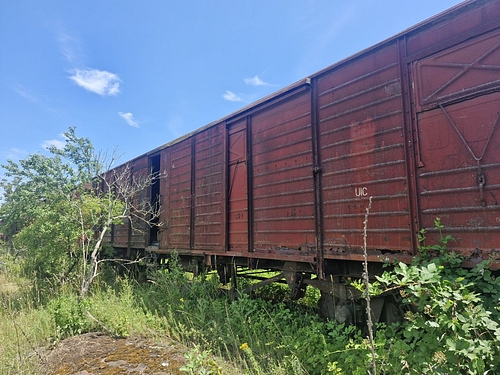 06