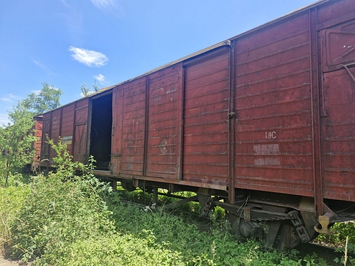 07