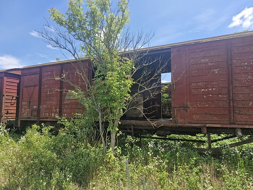 07