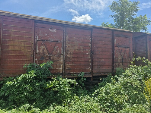 06