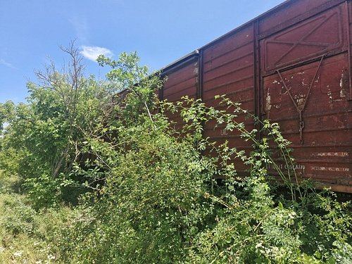08
