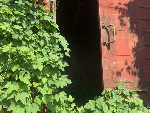 04