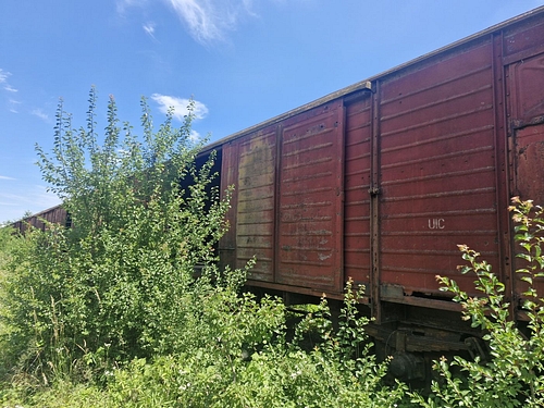05