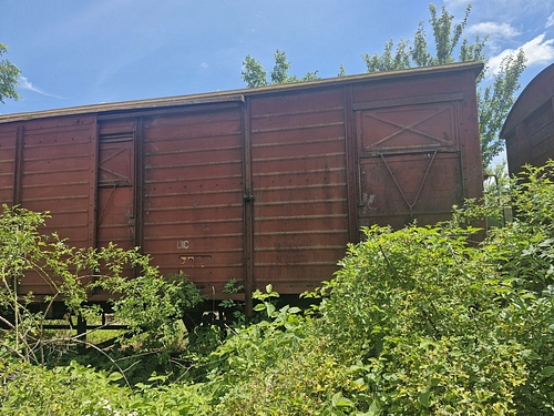 05