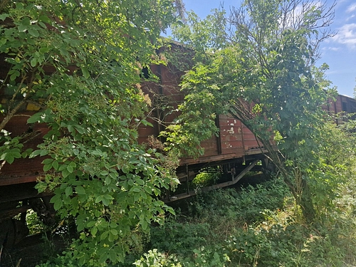 04