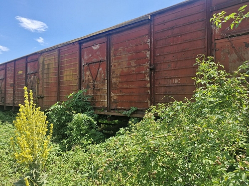 09