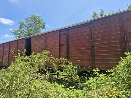 06