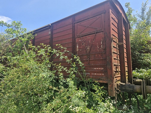 07