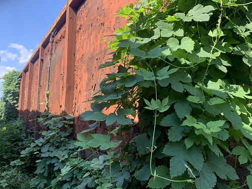 05