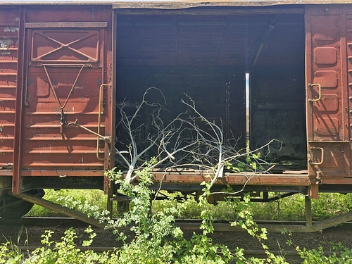 06