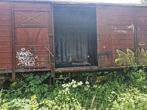 08