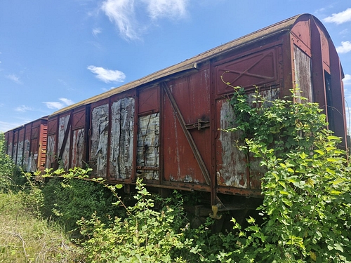 05
