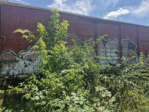 05