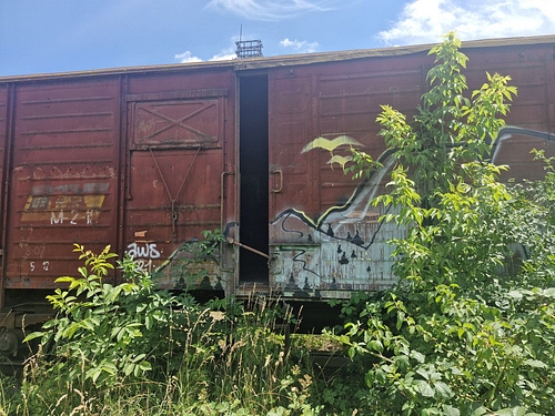 06