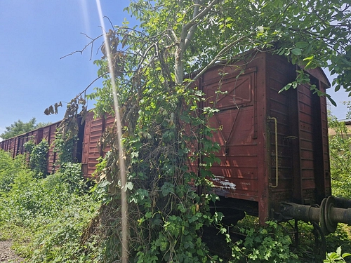 06