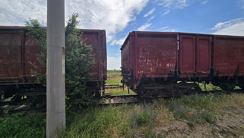 Poza 8