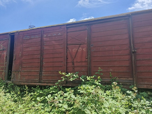 07
